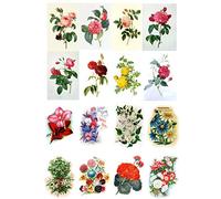 Decoupage Paper Pack (20 Sheets 10x15cm) Flowers Roses Garden Wildflowers FLONZ Vintage Paper