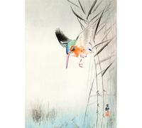 Decoupage Rice Papers - Decoupage Paper Design for Furniture, Mixed Media, Cards & Crafts, Decoupage by CRAFT KREATIVELY (Kingfisher)