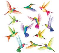 DECOWALL 12 Large Colourful Hummingbird Wall Stickers Decals (DS6-8060)