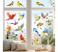 DECOWALL CDS4-9003 17pcs Beautiful Birds Static Cling Window Stickers Reuseble for Prevent Glass Clings Flying Anticollision Bird Strike Window Decals - Double Sided Print