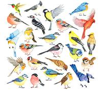 DECOWALL Colourful Birds Wall Stickers, 25 Little Flying Bird Wall Decals Peel and Stick Nature Wall Art for Bedroom Living Room Kitchen Window Décor (DS4-8063)