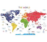 DECOWALL DAT-1306N Colourful World Map (Large) Kids Wall Stickers Decals Peel and Stick Removable for Nursery Bedroom Living Room Art murals Decorations