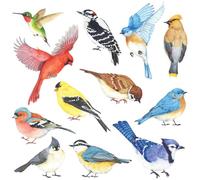 DECOWALL DS2-8042 Little Birds Wall Art Stickers Colourful Flying Birds Wall Decals Removable Garden Decorations Poster Bedroom Kitchen Living Room (Small)