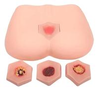 Decubitus Ulcer Training Model Decubitus Wound Care Kit 4 Stages of Bedsores Pressure Sore Model Practice Simulator Teaching Model