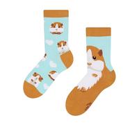 Dedoles Unisex Socks Cotton Funny Designs Football Bicycle Horses Plants Firefighter Gift Mismatched, color: Beige, design: Cavies in Love, size: 4-6 Years