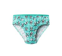 Dedoles Women's & Girls' Underwear Knickers Cotton Funny Designs Flowers Clouds Avocado Unicorn Party Mermaid, Design: Bamboo Panda Bear, Colour: Turquoise, Size: 6-8 years