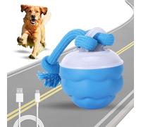 DEECOZY Interactive Dog Toys Ball with Motion Activated, Fun Moving Smart Dog Active Rolling Ball with Two Chew Ropes, Dog Toys for Boredom, Rechargeable Moving Dog Ball for Puppies and Pet