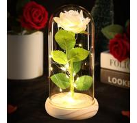 DEEMEI Birthday Gifts for Women Mum Her, Eternal Rose Flowers from Daughter Son, Galaxy Crystal Rose Flower Gift Light Up Rose in a Glass Dome for Girlfriend Wife Anniversary Presents, White
