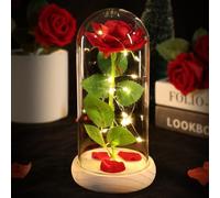 DEEMEI Birthday Gifts for Women Mum Her, Eternal Rose Flowers from Daughter Son, Galaxy Crystal Rose Flower Gift Light Up Rose in a Glass Dome for Girlfriend Wife Anniversary Presents, Red