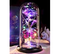 DEEMEI Birthday Gifts for Women Purple Rose Eternal Flower Light Up Rose in Glass Dome with Butterfly Gifts for Women Thanksgiving Anniversary Grandma Girlfriend Wife Gift for Her