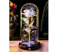 DEEMEI Eternal Rose Flowers Birthday Gifts for Women, for Mum Her, Upgraded USB Galaxy Crystal Rose in a Glass Dome LED Light-Up Presents for Anniversary Wife Grandma, Rainbow