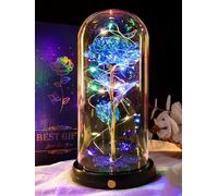 DEEMEI Eternal Rose Flowers Birthday Gifts for Women, for Mum Her, Upgraded USB Galaxy Crystal Rose in a Glass Dome LED Light-Up Presents for Anniversary Wife Grandma, Blue