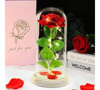DEEMEI Eternal Roses in Glass with LED Lights, Gifts for Women Mum, Red