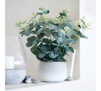 Deenz Artificial Eucalyptus Plant In Sleek White Cement Pot Indoor Decorative Centrepiece Floral Arrangement 33 X 13 Cm Dia.