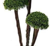 Deenz Artificial Plant Cedar Ball Topiary Tree With Pot Faux Round Shrub Bush Decoration Greenery 90Cm (3 Leaf Flower 011)