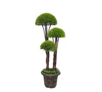 Deenz Artificial Plant Cedar Ball Topiary Tree With Pot Faux Round Shrub Bush Decoration Greenery Decorative Plants For Indoor Outdoor Use 90cm (3 Grass Flower 010)