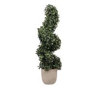 Deenz Faux Spiral Ivy In White Ceramic Pot, Made With The Best Materials Ideal For Home Office Decoration Plant Artificial Tree