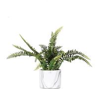 Deenz Fern In Marble Pot, Made With The Best Materials Ideal For Home Office Decoration Plant Artificial Mini Potted Indoor