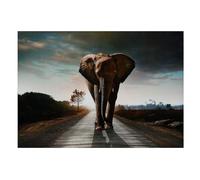 DEENZ Majestic Elephant Gloss Canvas Wall Art Hanging Pictures Home Decoration Living Room Bedroom