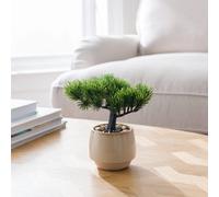 Deenz Realistic Artificial Bonsai Tree In Stylish Ceramic Pot Indoor Plant Polyethelene Plastic No Maintenance Require 15X17X19 Cm
