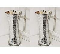 Deenz (Set Of 2) Silver Crackle Mercury Glass Large Vase H 30Cm
