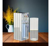 DEENZ Strip Mirrored Vase Small Bouquets Fresh Roses Flowers Square Glass 10X25Cm