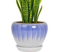 Deep Dream 8 Inch Plant Pots- Ceramic Pots for Plants with Drainage Hole and Saucer, Large Planter Pot for Indoor Plants Outdoor Decor, White&Blue