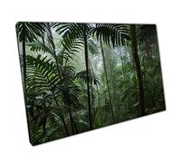 Deep Inside A Humid Vibrant Green Warm Tropical Jungle Tree Plant Life Exotic Nature Wall Art Print On Canvas Picture For Home Office Decor 45x30cm (18x12In)