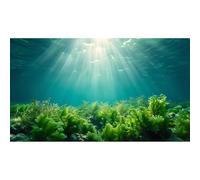Deep Ocean Fish Tank Background Under The Sea Aquatic Plants Aquarium Background Underwater Corals Sunray Terrarium Background Tropical Fish Ocean World Aquarium Background Decorations 36x24in