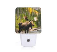 Deer Bear Moose Print Plug-in Night Light for Bedroom Hallway Safety Lamp Dorm Illumination Home Decor