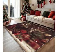 Deer Door Mat Indoor, Washable Reindeer Christmas Kids Rug 40x60, Non Slip Low Pile Area Rugs for Entrance, Kitchen, Bedroom, Christmas Decorations QAZ32