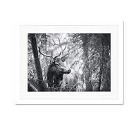 Deer Head Antlers Forest Large Art Print Poster Wall Decor 18x24 inch Supplied Ready To Hang With Included Mount Brackets