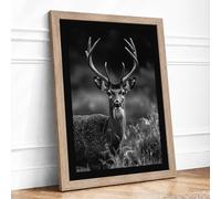 Deer in Monochrome Scandinavian Framed Wall Art Print A2 (59.4×42cm) Oak, Wall Decor for Living Room, Bedroom, Office & Home, Ready to Hang, Art Gift