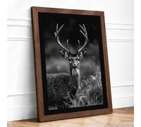 Deer in Monochrome Scandinavian Framed Wall Art Print A2 (59.4×42cm) Walnut, Wall Decor for Living Room, Bedroom, Office & Home, Ready to Hang, Art Gift
