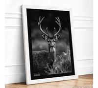 Deer in Monochrome Scandinavian Framed Wall Art Print A3 (42×29.7cm) White, Wall Decor for Living Room, Bedroom, Office & Home, Ready to Hang, Art Gift