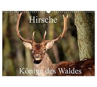 Deer - kings of the forest/birthday calendar UK-Version (Wall Calendar 2026 DIN A3 Landscape), CALVENDO 12 Month Wall Calendar