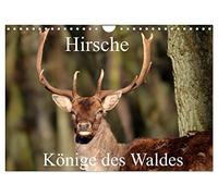 Deer - kings of the forest/birthday calendar UK-Version (Wall Calendar 2026 DIN A4 Landscape), CALVENDO 12 Month Wall Calendar