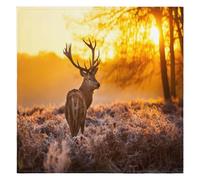 Deer Morning Sun Homes Cloth Napkins 50.8 x 50.8 cm, Deer Print Cloth Napkin Set of 6 Washable Reusable Table Dinner Napkins for Weddings Parties Holiday Family Dinners