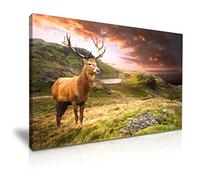 Deer Stag Mountain Landscape Canvas Wall Art Picture Print Best Gift For Modern Home Office Hotel Decoration (L: 76cm x 51cm)
