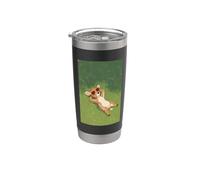 Deer Sunbathing on a Green Grass Summer Vibe Stainless Steel Insulated Tumbler