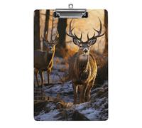 Deers Picture Plastic Clipboard with Storage Office Acrylic Clipboards Low Profile Clip Clear Clip Boards Basics Letter Size Hardboard for Nurses,Teachers