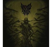 Defeated Sanity - Passages Into Deformity