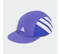 DEFENDER 5PNL CAP