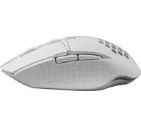 Defender Optical Mouse Glory GM-514 White 3200 dpi