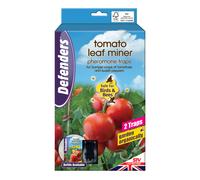 Defenders Zero In Tomato Leaf Miner Trap