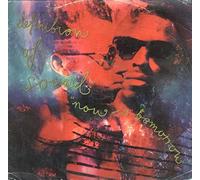 Definition Of Sound - NOW IS TOMORROW 12" SINGLE UK CIRCA 1991 6 TRACK PRO EXTENDED VERSION DOUBLE PACK B/W MR MOJO RISING,MOIRA JANES CAFE,SHABBA SOUL,GIVE THE BASS SOME SPACE AND INNER SPACE MIXES (DON34) TITLE STICKERED PLAIN SLEEVE