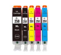 DEFIYAN 20X Compatible PGI250 PGI-250 CLI-251 Ink Cartridge Compatible With MG5420 MG5422 MG5520 MG5522 MG6420 IP7220 MX722 MX922 IX6820 Printers(1 set)