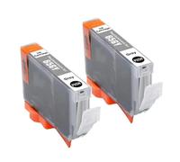 DEFIYAN Compatible Ink Cartridge Compatible With CLI65 CLI 65 CLI-65 Compatible With Pro 200 Printer Color Inkjet(2 PCS GERY)