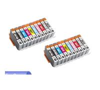 DEFIYAN PFI 300 PFI300 PFI-300 Compatible Ink Cartridge Compatible With ImagePROGRAF PRO-300 Printer(2SET)