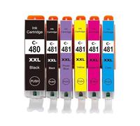 DEFIYAN PGI-480 CLI-481 Ink Cartridge Compatible With TS8140 TS8240 TS9140 TS8340 Series(PGI-480 6PK)